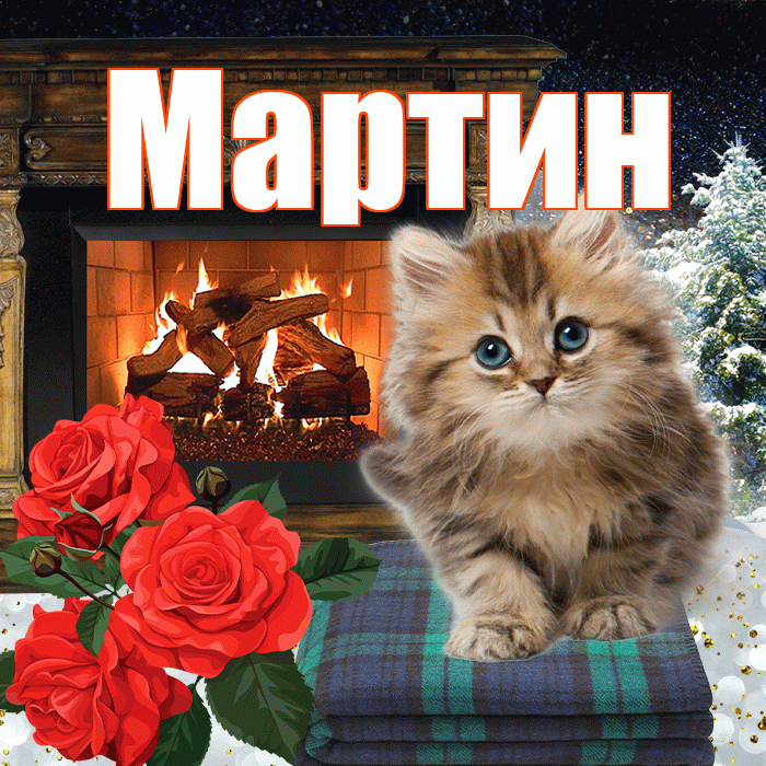 Мартин! Доброго зимнего вечера! Красивая открытка Мартину!