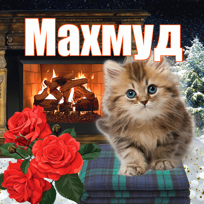 Махмуд! Доброго зимнего вечера! Красивая открытка Махмуду!