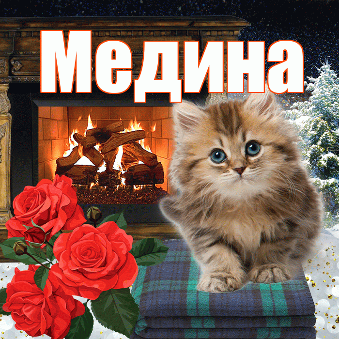 Медина! Доброго зимнего вечера! Красивая открытка Медине!