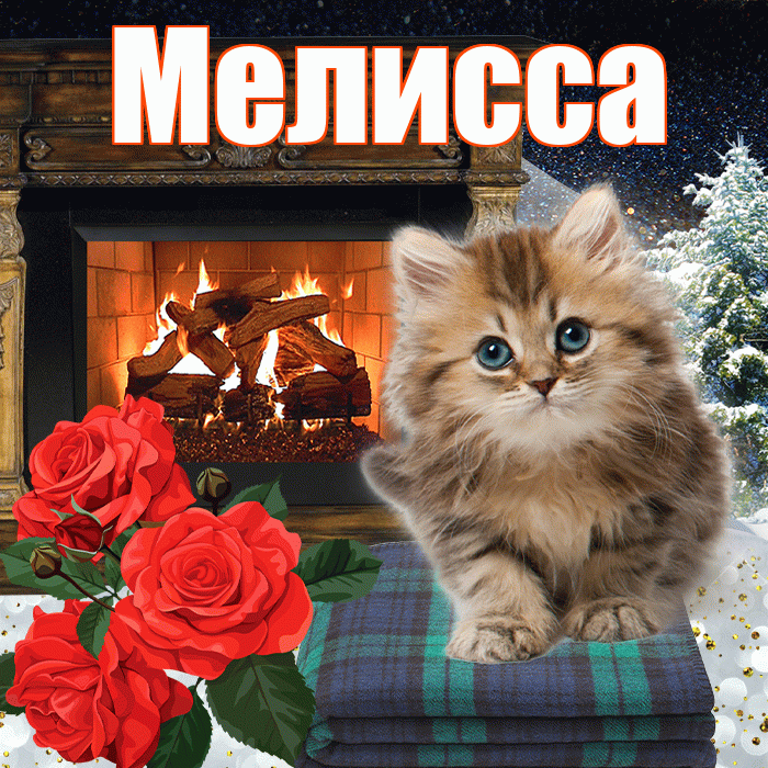 Мелисса! Доброго зимнего вечера! Красивая открытка Мелиссе!