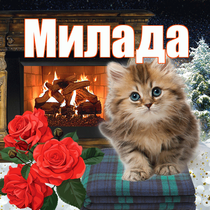 Милада! Доброго зимнего вечера! Красивая открытка Миладе!