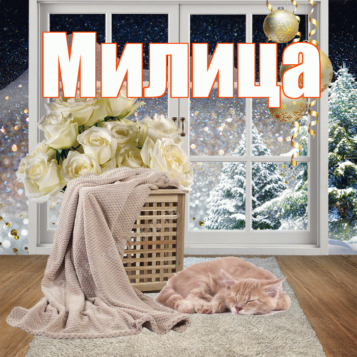 Милица! Доброго зимнего вечера! Красивая открытка Милице!