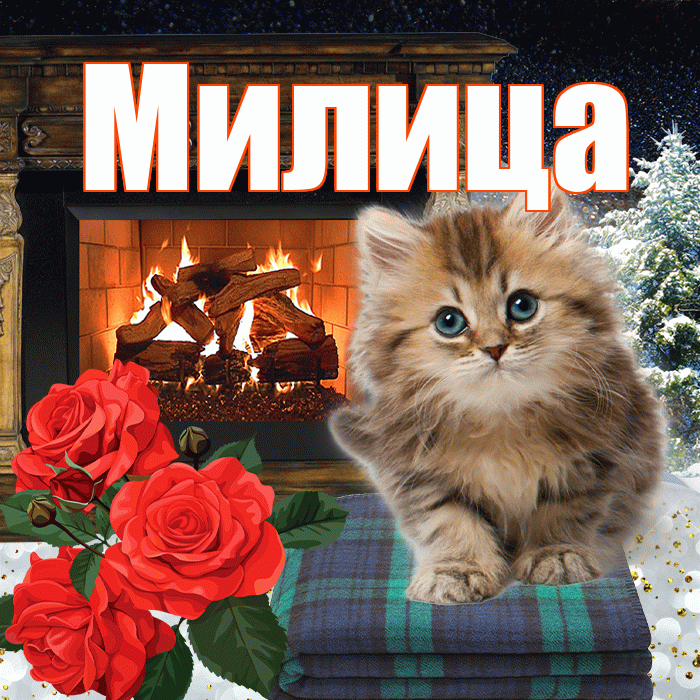 Милица! Доброго зимнего вечера! Красивая открытка Милице!