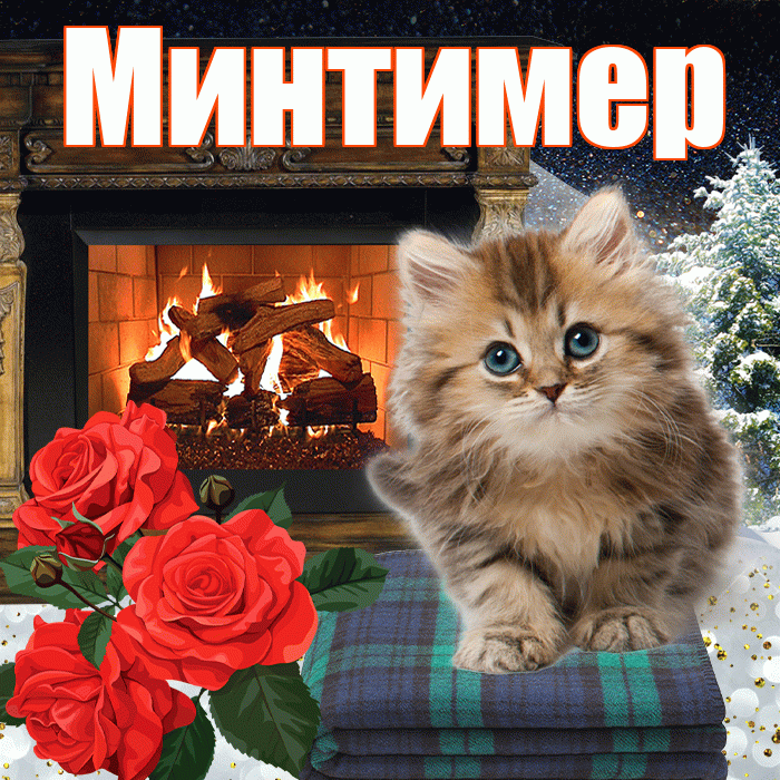 Минтимер! Доброго зимнего вечера! Красивая открытка Минтимеру!