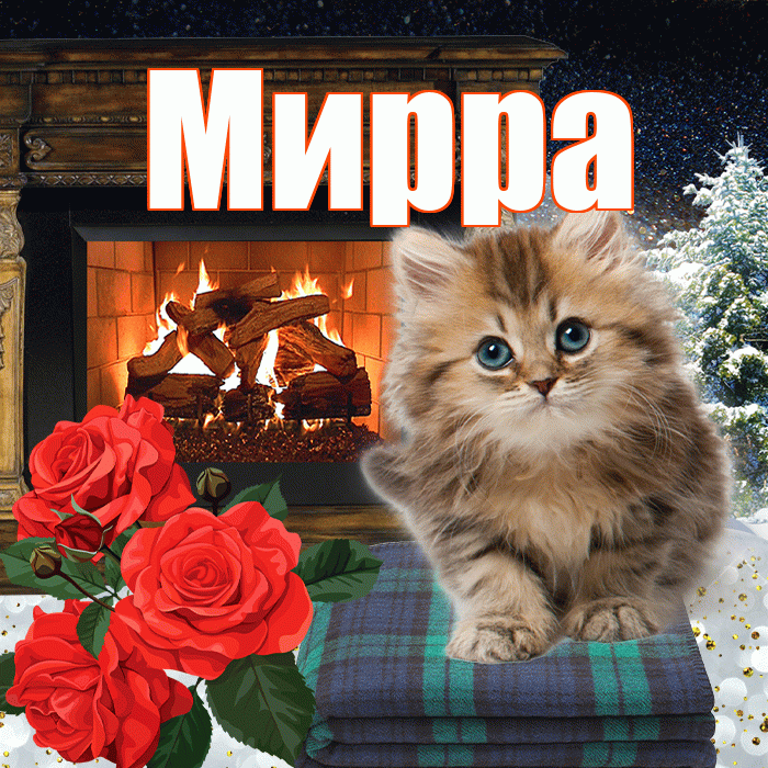 Мирра! Доброго зимнего вечера! Красивая открытка Мирре!