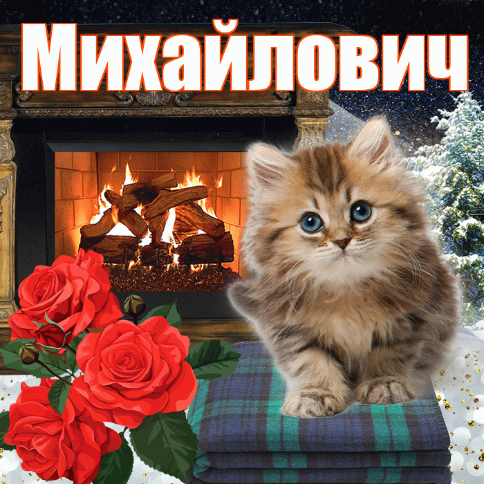 Михайлович! Доброго зимнего вечера! Красивая открытка Михайловичу!