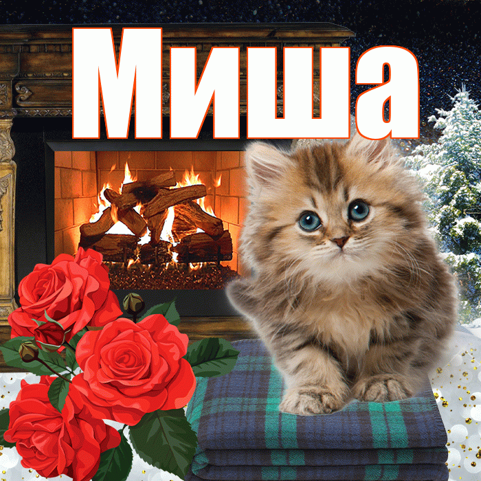 Миша! Доброго зимнего вечера! Красивая открытка Мише!