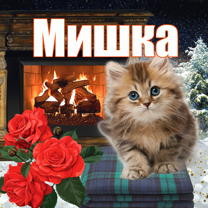 Мишка! Доброго зимнего вечера! Красивая открытка !