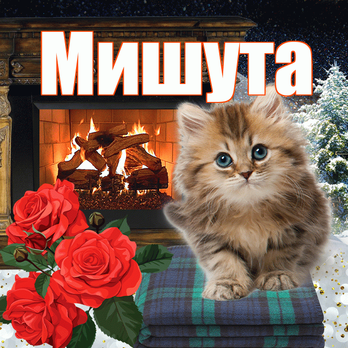 Мишута! Доброго зимнего вечера! Красивая открытка !