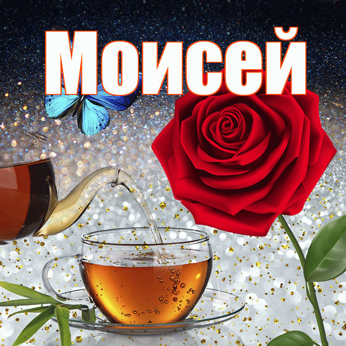 Моисей! Доброго зимнего вечера! Красивая открытка Моисею!