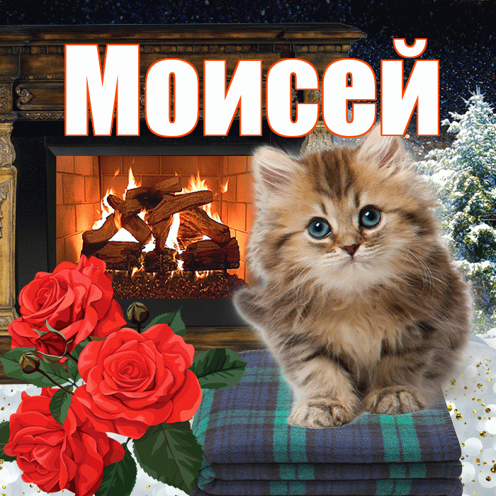 Моисей! Доброго зимнего вечера! Красивая открытка Моисею!