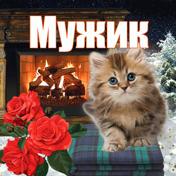 Мужик! Доброго зимнего вечера! Красивая открытка Мужику!