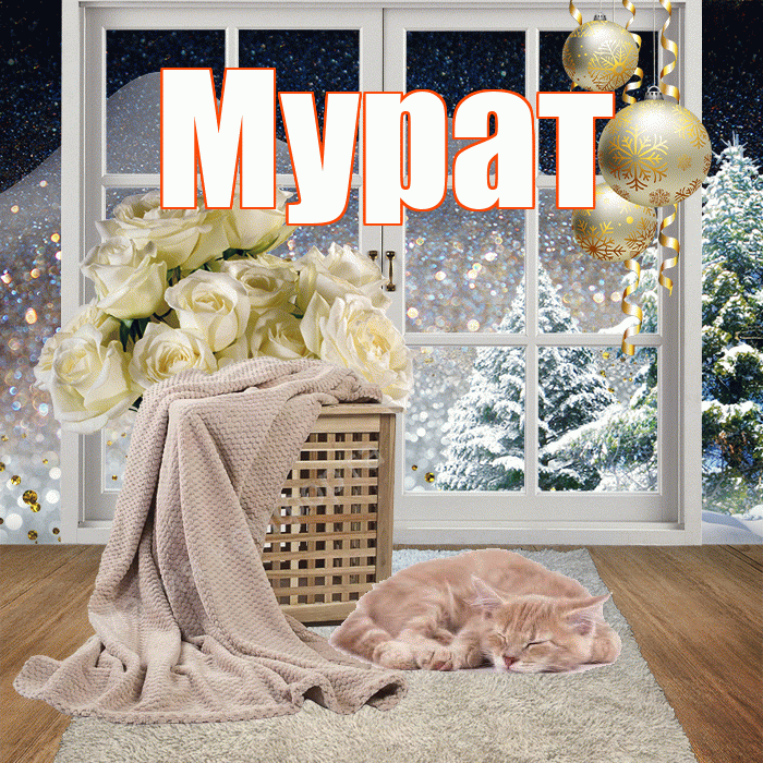 Мурат! Доброго зимнего вечера! Красивая открытка Мурату!