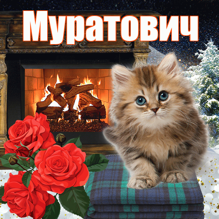Муратович! Доброго зимнего вечера! Красивая открытка Муратовичу!