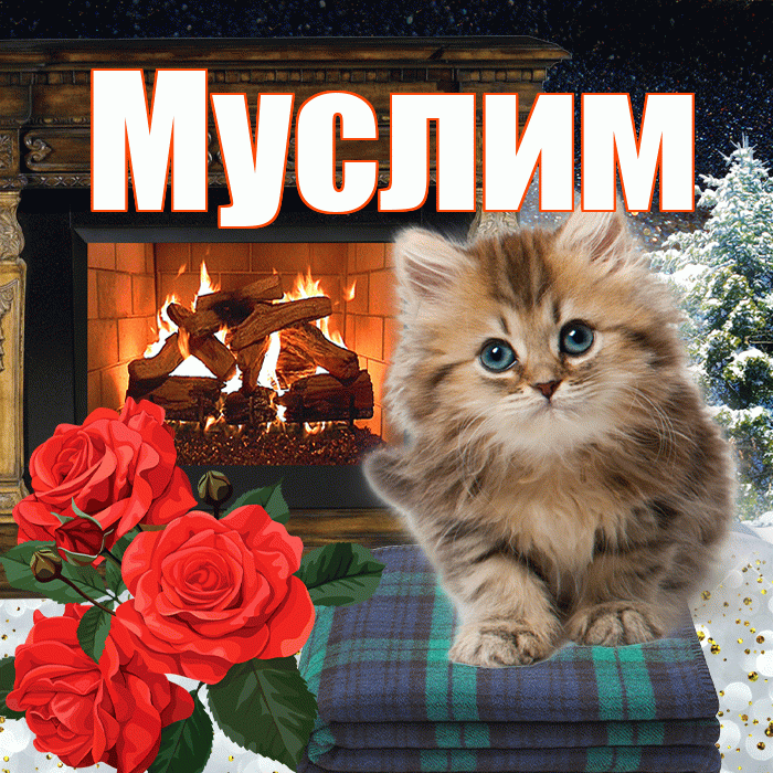 Муслим! Доброго зимнего вечера! Красивая открытка Муслиму!