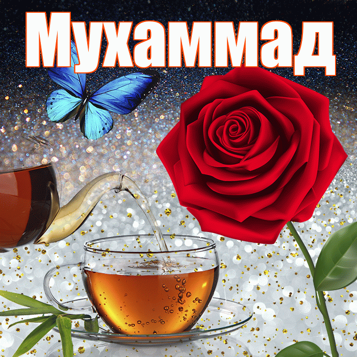 Мухаммад! Доброго зимнего вечера! Красивая открытка Мухаммаду!