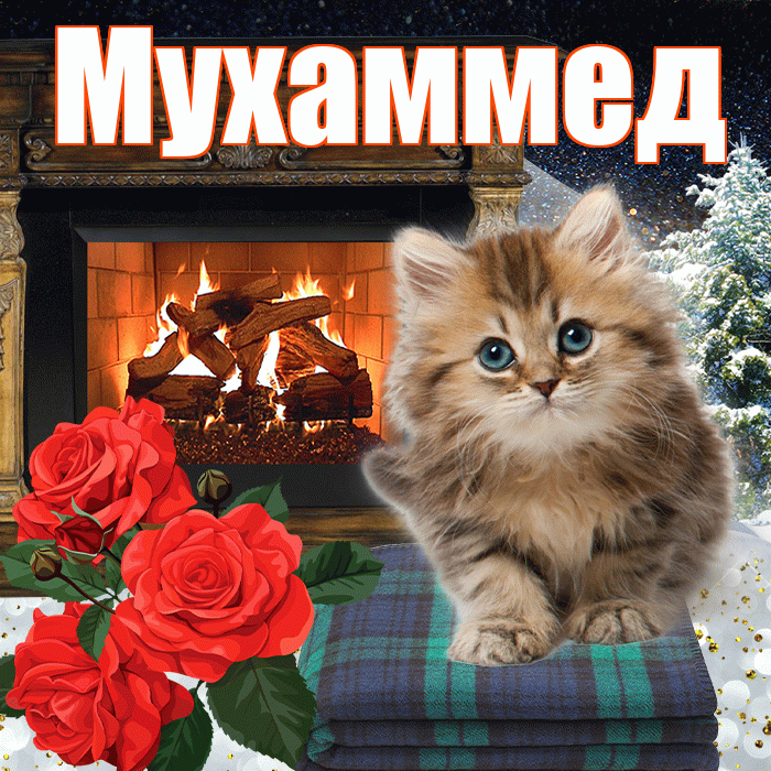 Мухаммед! Доброго зимнего вечера! Красивая открытка Мухаммеду!