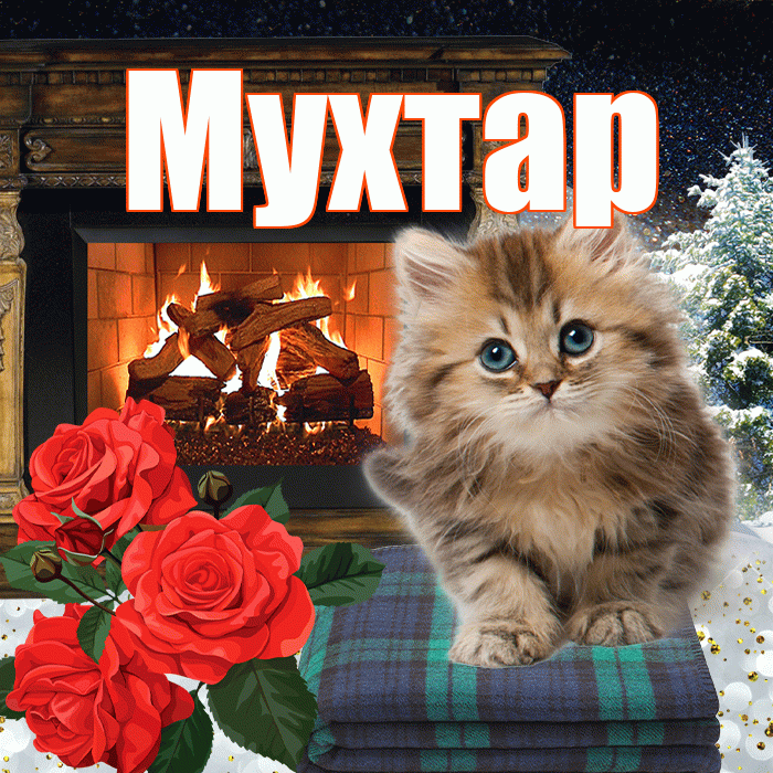 Мухтар! Доброго зимнего вечера! Красивая открытка Мухтару!