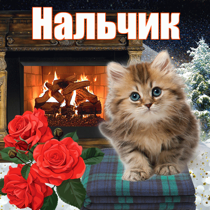 Нальчик! Доброго зимнего вечера! Красивая открытка Нальчику!