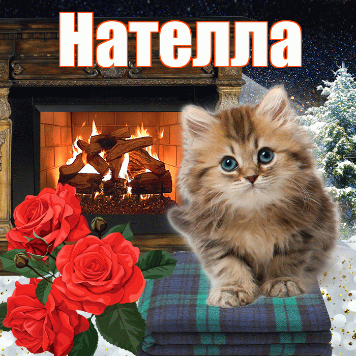 Нателла! Доброго зимнего вечера! Красивая открытка Нателле!