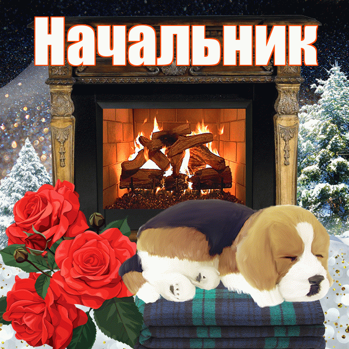 Начальник! Доброго зимнего вечера! Красивая открытка Начальнику!