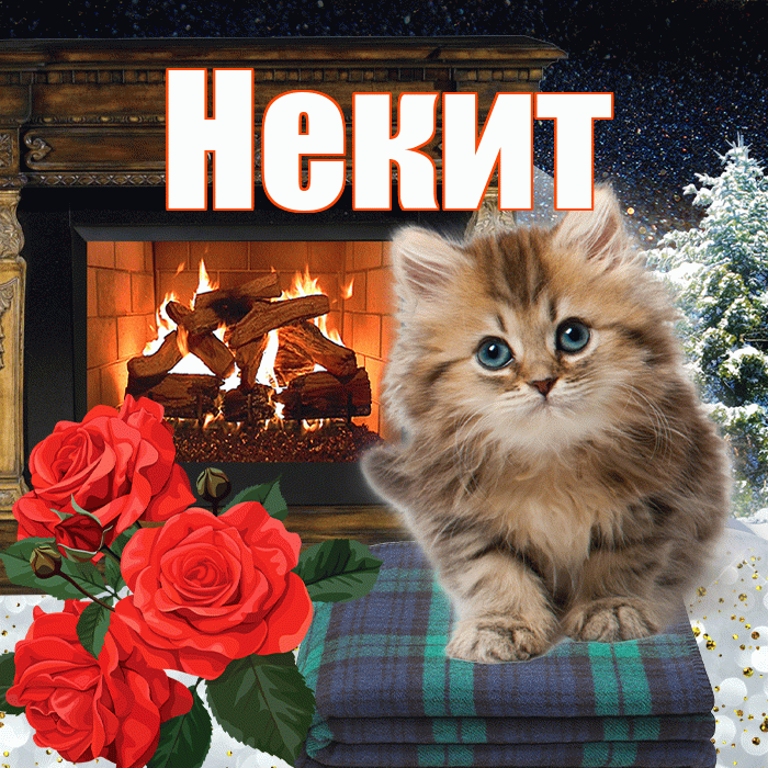 Некит! Доброго зимнего вечера! Красивая открытка !
