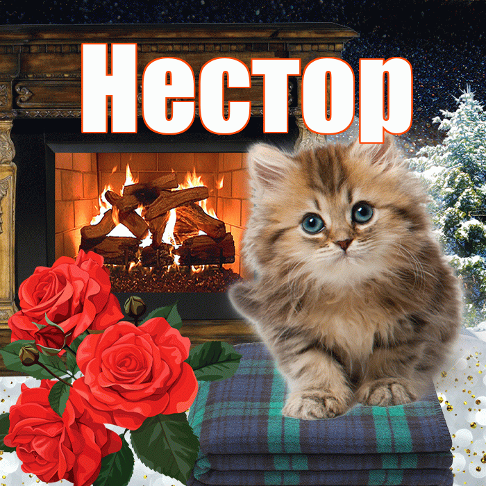 Нестор! Доброго зимнего вечера! Красивая открытка Нестору!