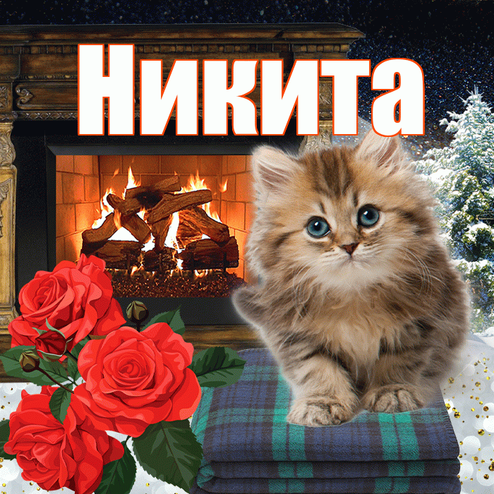 Никита! Доброго зимнего вечера! Красивая открытка Никите!