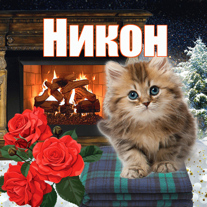 Никон! Доброго зимнего вечера! Красивая открытка Никону!