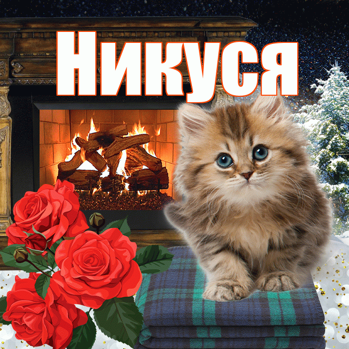 Никуся! Доброго зимнего вечера! Красивая открытка !