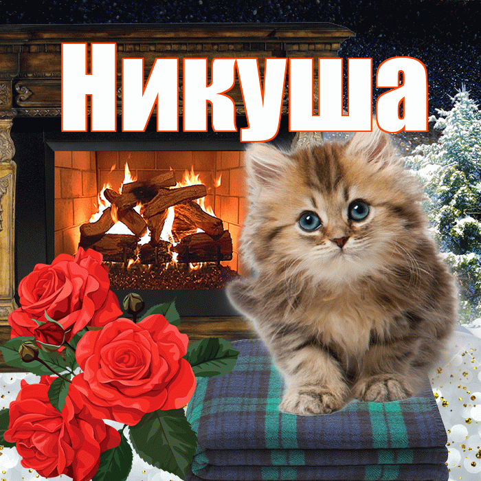 Никуша! Доброго зимнего вечера! Красивая открытка !