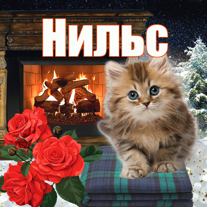 Нильс! Доброго зимнего вечера! Красивая открытка Нильсу!