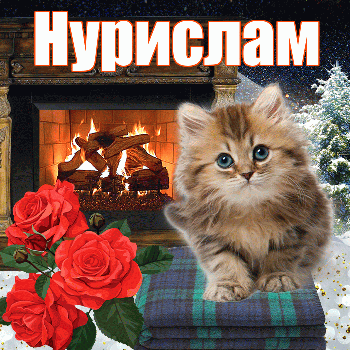 Нурислам! Доброго зимнего вечера! Красивая открытка Нурисламу!