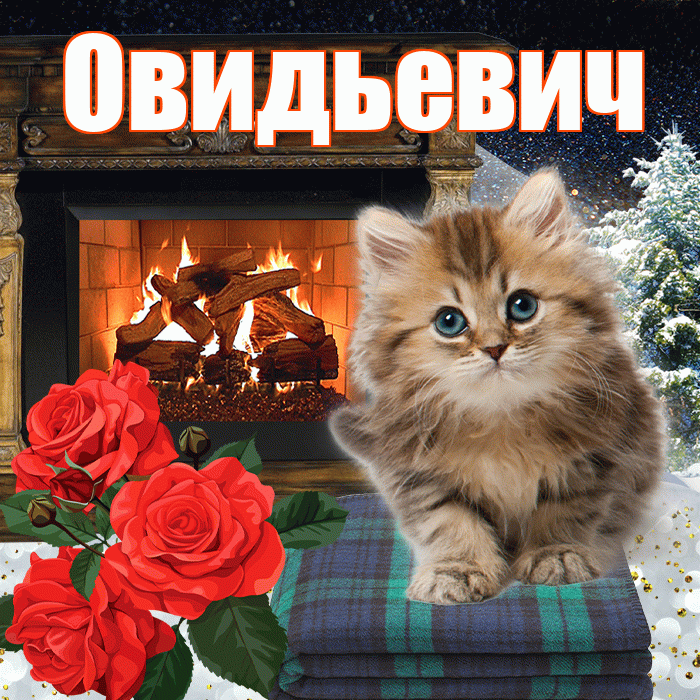 Овидьевич! Доброго зимнего вечера! Красивая открытка Овидьевичу!