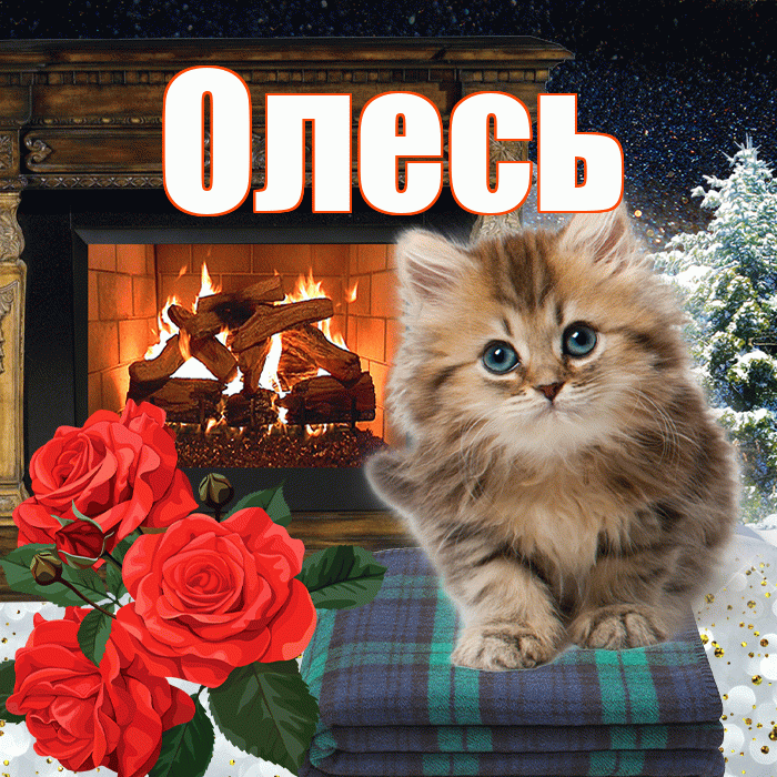 Олесь! Доброго зимнего вечера! Красивая открытка Олесю!