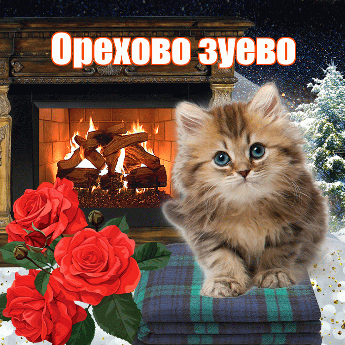 Орехово зуево! Доброго зимнего вечера! Красивая открытка !