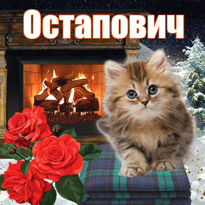 Остапович! Доброго зимнего вечера! Красивая открытка Остаповичу!
