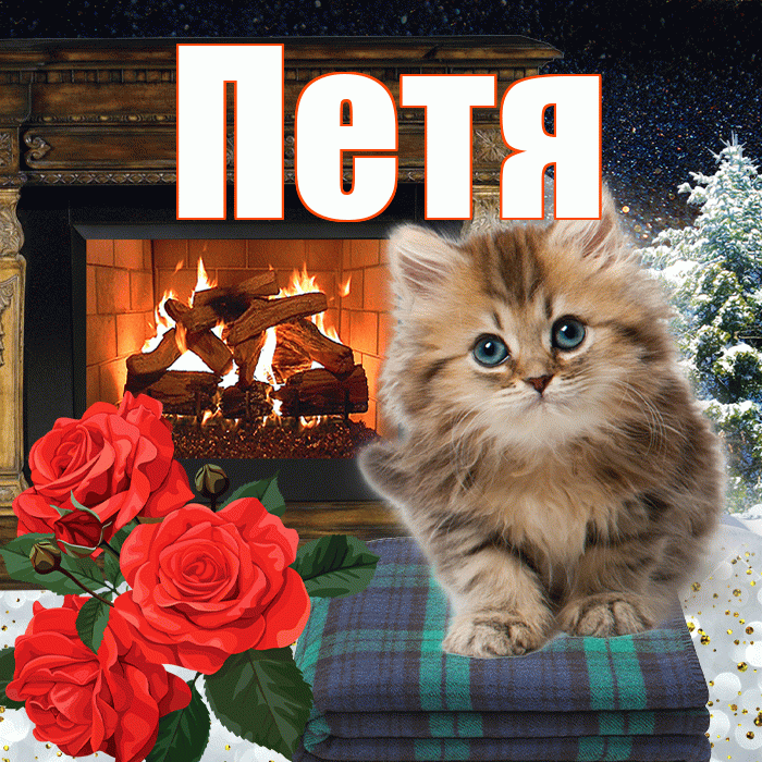 Петя! Доброго зимнего вечера! Красивая открытка Пете!