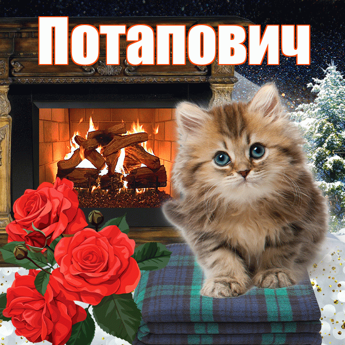 Потапович! Доброго зимнего вечера! Красивая открытка Потаповичу!