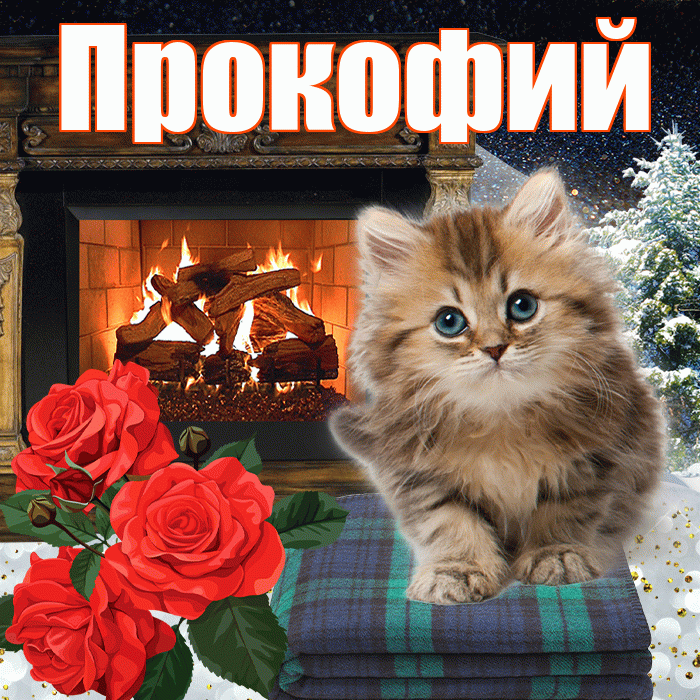 Прокофий! Доброго зимнего вечера! Красивая открытка Прокофию!