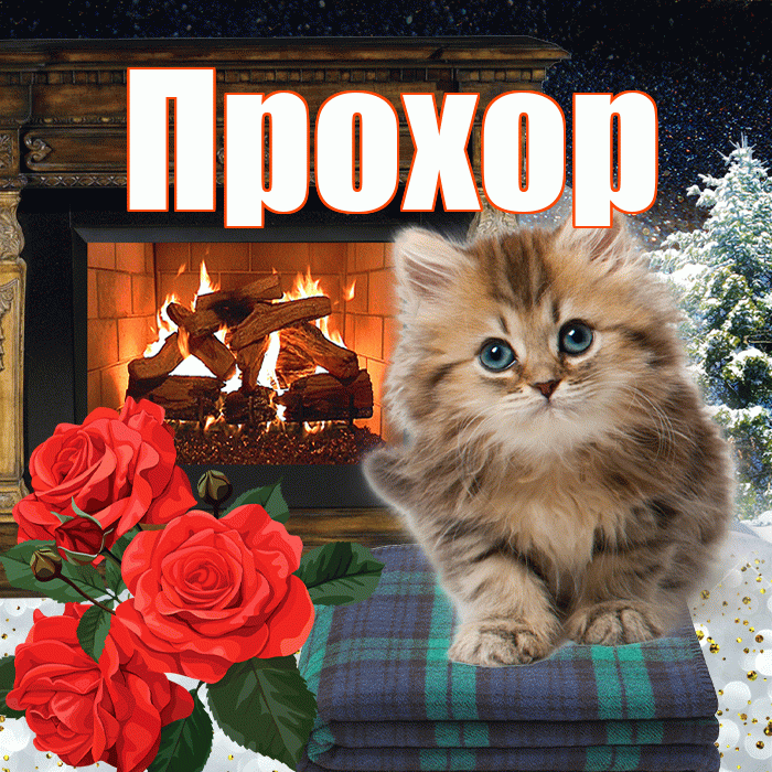 Прохор! Доброго зимнего вечера! Красивая открытка Прохору!