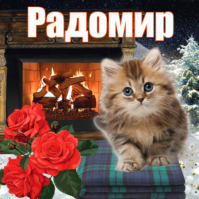 Радомир! Доброго зимнего вечера! Красивая открытка Радомиру!