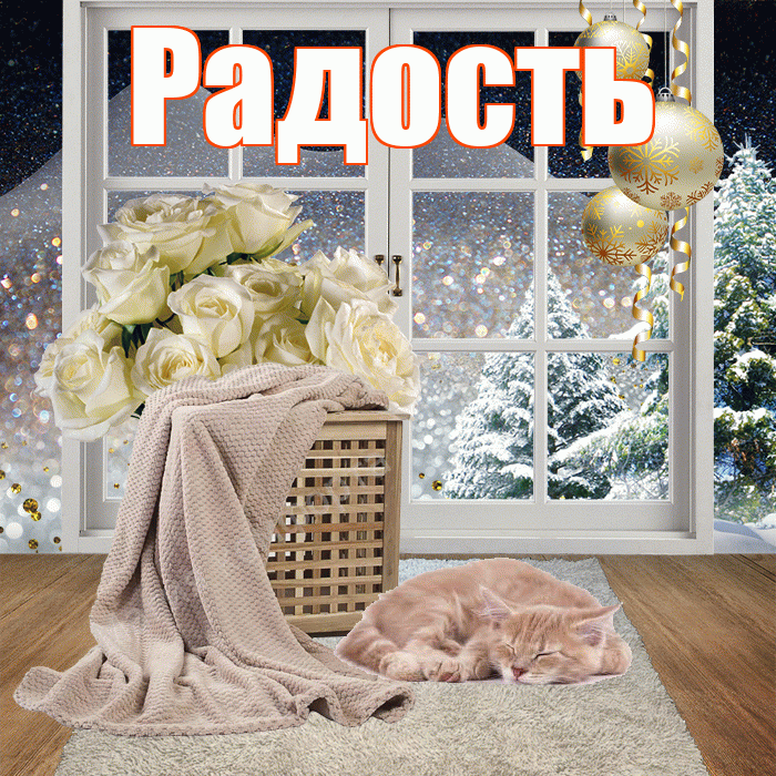 Радость! Доброго зимнего вечера! Красивая открытка Радости!