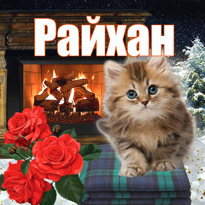 Райхан! Доброго зимнего вечера! Красивая открытка Райхан!