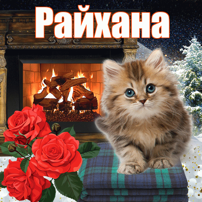 Райхана! Доброго зимнего вечера! Красивая открытка Райхане!
