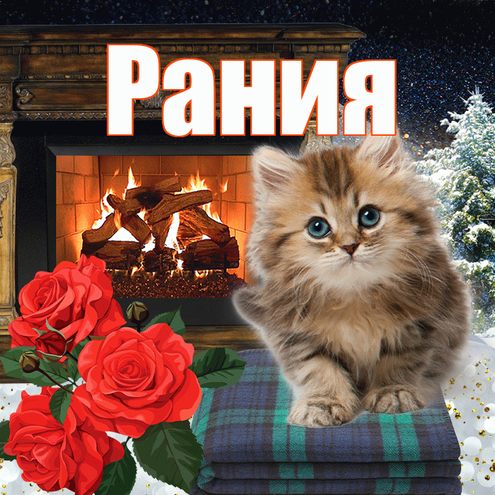 Рания! Доброго зимнего вечера! Красивая открытка Рании!