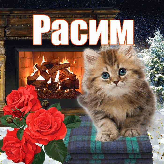 Расим! Доброго зимнего вечера! Красивая открытка Расиму!