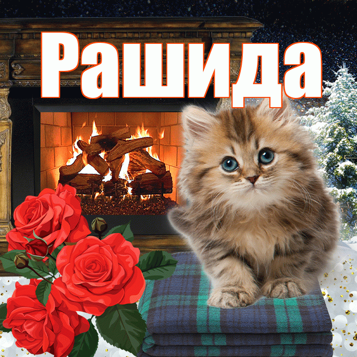 Рашида! Доброго зимнего вечера! Красивая открытка Рашиде!