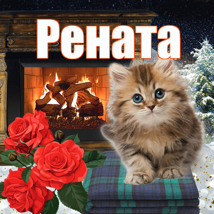 Рената! Доброго зимнего вечера! Красивая открытка Ренатовне!