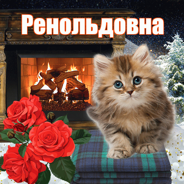 Ренольдовна! Доброго зимнего вечера! Красивая открытка Ренольдовне!